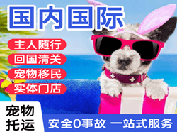 吐鲁番交河航空空运国际宠物托运 【国